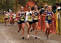 2010CIF XC GD2-1965
